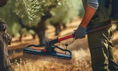 Vareador de Aceitunas Eléctrico a Batería