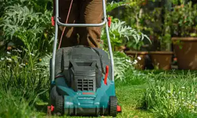cortacésped a batería