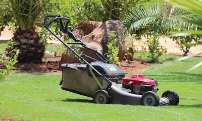 cortacésped de gasolina