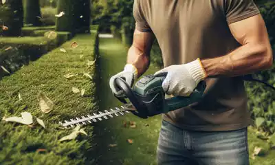 cortasetos de batería