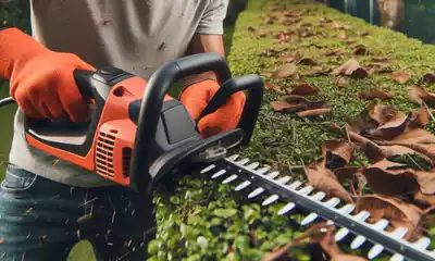 cortasetos de batería