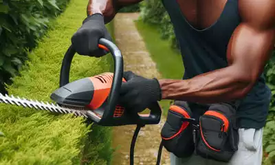 cortasetos eléctricos