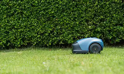 robots cortacéspedes automáticos