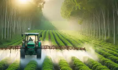 sulfatadora para tractor