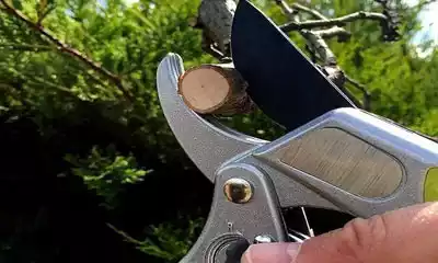 Tijera de podar ratchet