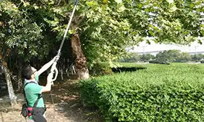 tijeras de podar telescópicas