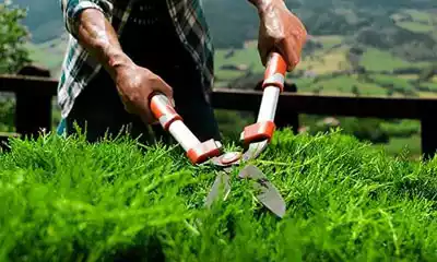 tijeras cortasetos