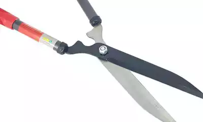 corta ramas extensible
