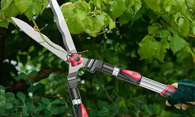 tijeras de podar extensibles