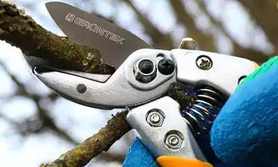tijeras para podar olivos